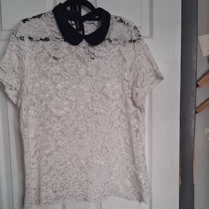 Elegant Lace Women Top with Black Collar